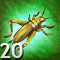 Following Crickets