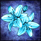 I Found the Ice Lily!