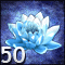 Falling in Love with the Icy Lotus