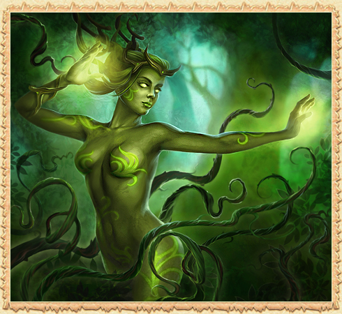 Spirit of Forest