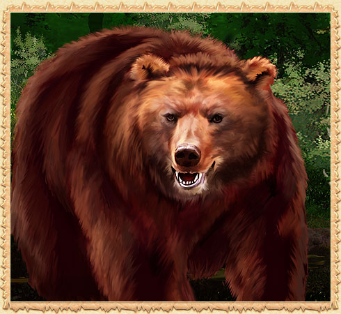 Old Phadd Bear